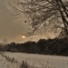 SAM_4486
