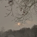 SAM_4487