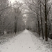SAM_4509
