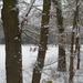 SAM_4512