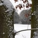 SAM_4515