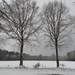 SAM_4517