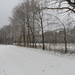 SAM_4519