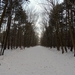 SAM_4528