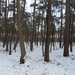 SAM_4529