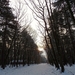 SAM_4535