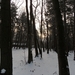 SAM_4536