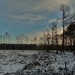 SAM_4537