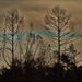 SAM_4541