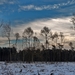 SAM_4543