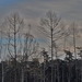 SAM_4544