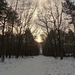 SAM_4545