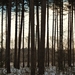 SAM_4546