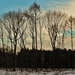 SAM_4548