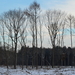 SAM_4549
