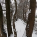 SAM_5317