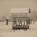 SAM_5329