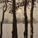 SAM_5337