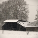 SAM_5347