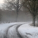 SAM_5541