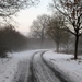 SAM_5542