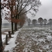 SAM_5548