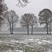 SAM_5549