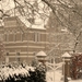 SAM_6564