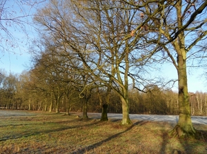 SAM_4683