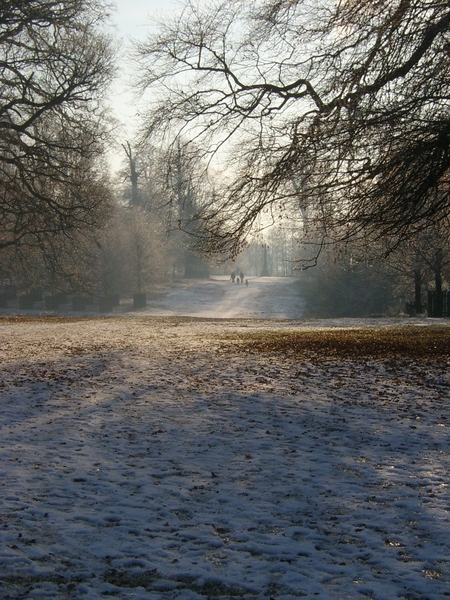 Sprookjesachtige landschap te Dunham Massey