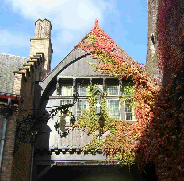 Het houten gevel tegenover het Gruuthuse