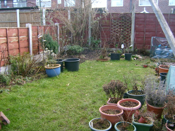 Achtertuin in de winter