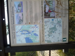 P1010167