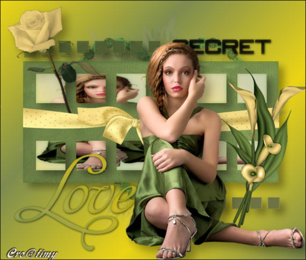 dub secret love les374 vm