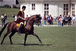 Chambord (Loire)