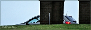023-crop-crop