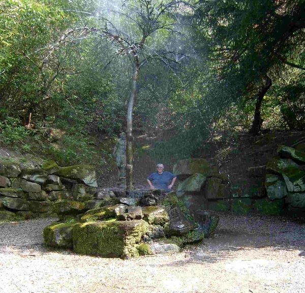 De wilgboomfontein