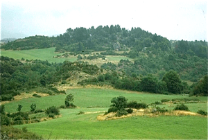 Auvergne