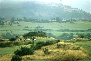 Auvergne