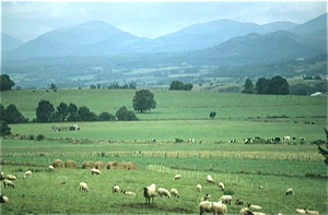 Auvergne