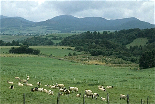 Auvergne