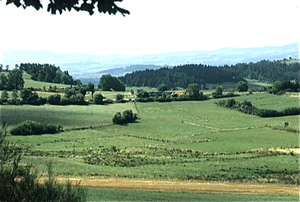 Auvergne