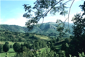 Auvergne