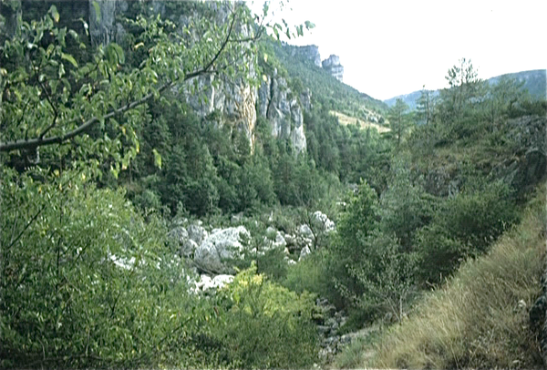 Gorges du Tarn (Massif Central)