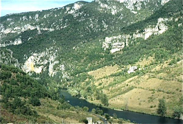 Gorges du Tarn (Massif Central)