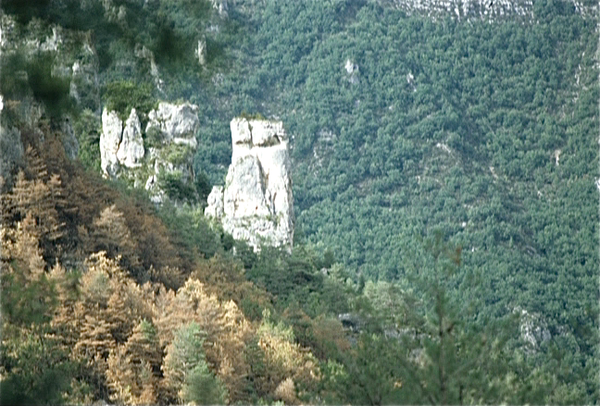 Gorges du Tarn (Massif Central)