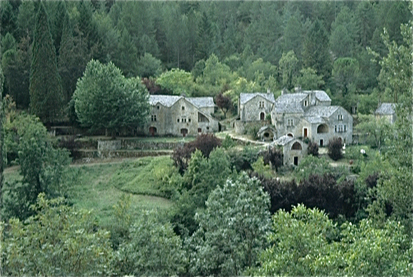 Gorges du Tarn (Massif Central)