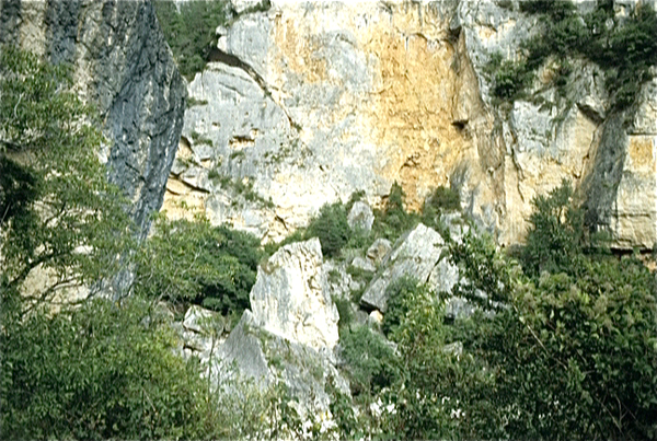 Gorges du Tarn (Massif Central)