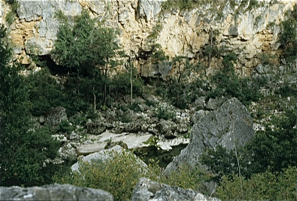 Gorges du Tarn (Massif Central)