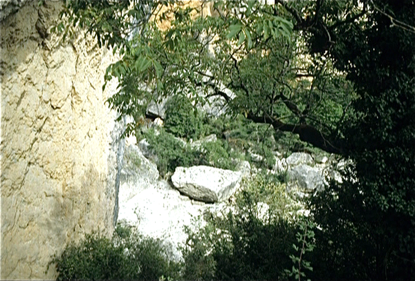 Gorges du Tarn (Massif Central)